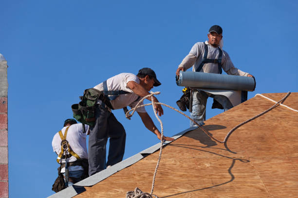 Best Roof Maintenance Services  in Lakemoor, IL